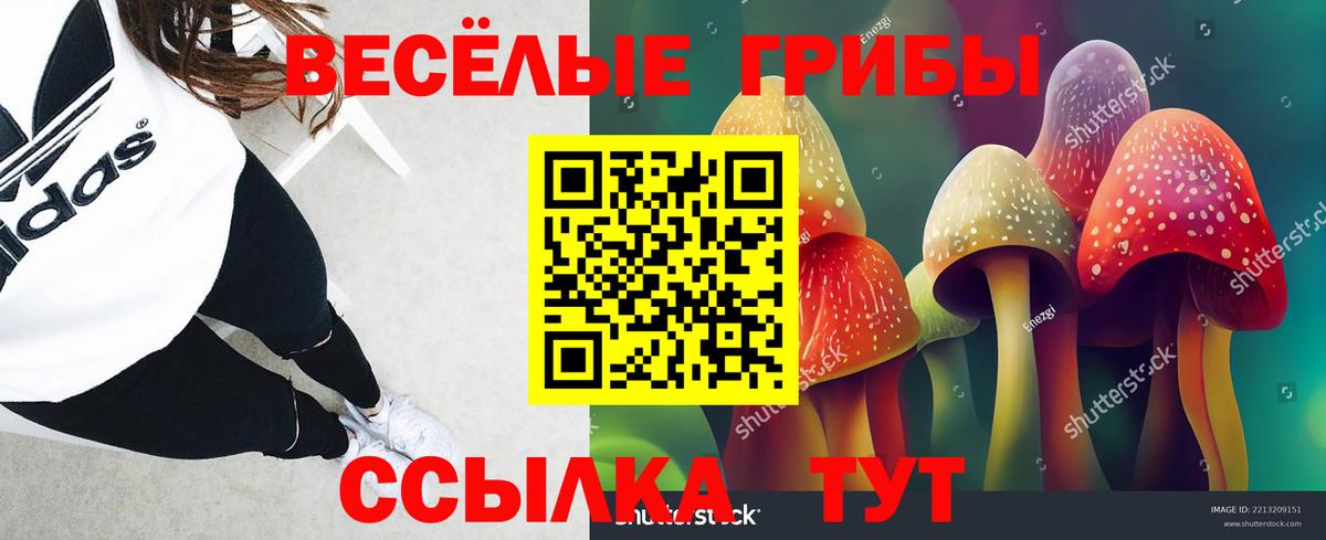 Псилоцибиновые грибы Psilocybe Озёры
